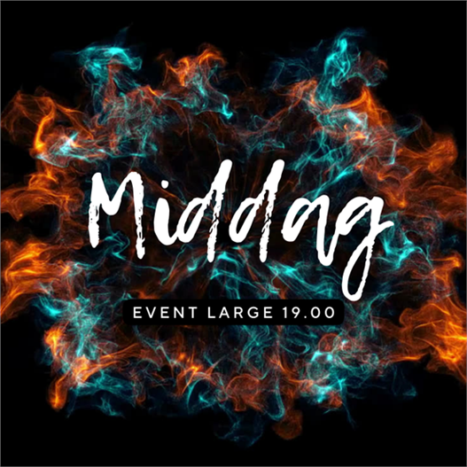 anvaendartraeff middag