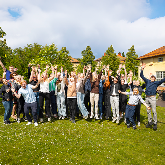 Sommaravekianer